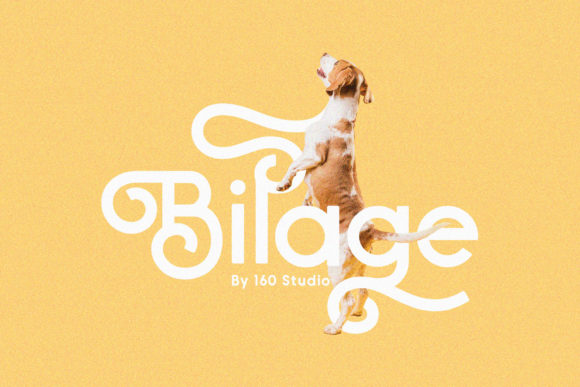 Bilage: The Handwritten Typeface for Editorial Design