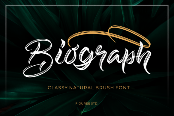 Biograph: A Casual Brush Script for Authentic Branding