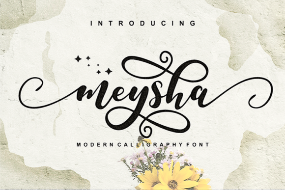 Meysha: The Perfect Handwritten Font for Modern Web Design
